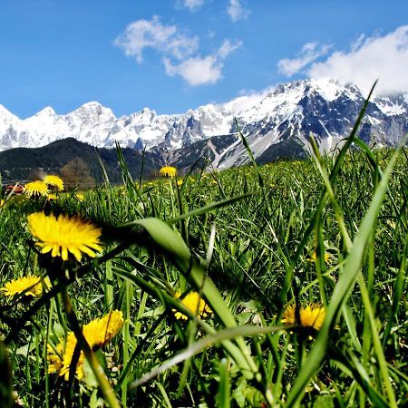 Haus Friedeck Bed and Breakfast Ramsau am Dachstein Esterno foto