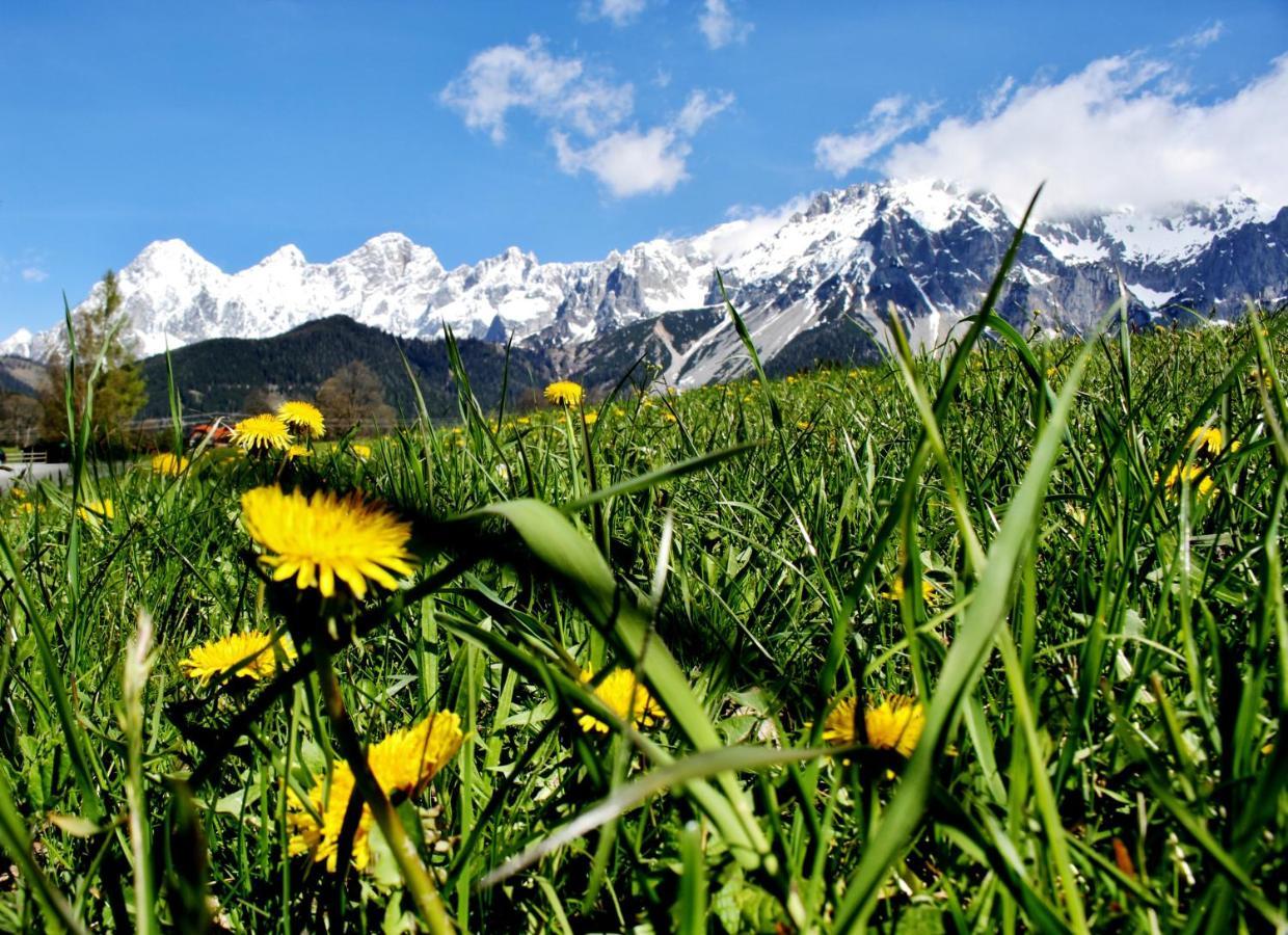 Haus Friedeck Bed and Breakfast Ramsau am Dachstein Esterno foto